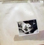 ��ǰ�̹���